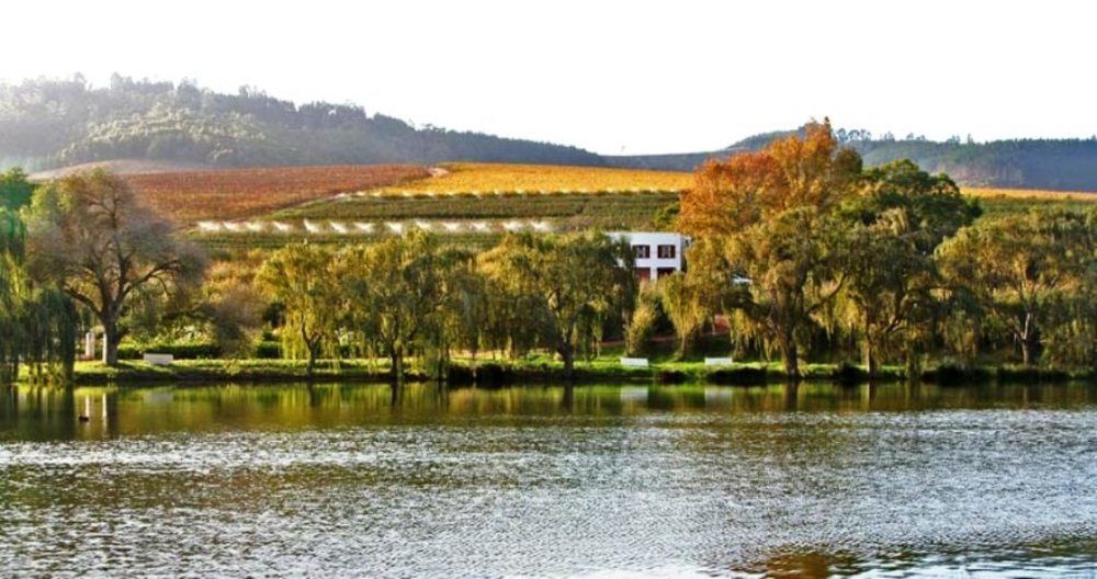 Aan-Den-Weg Villa Stellenbosch Bagian luar foto