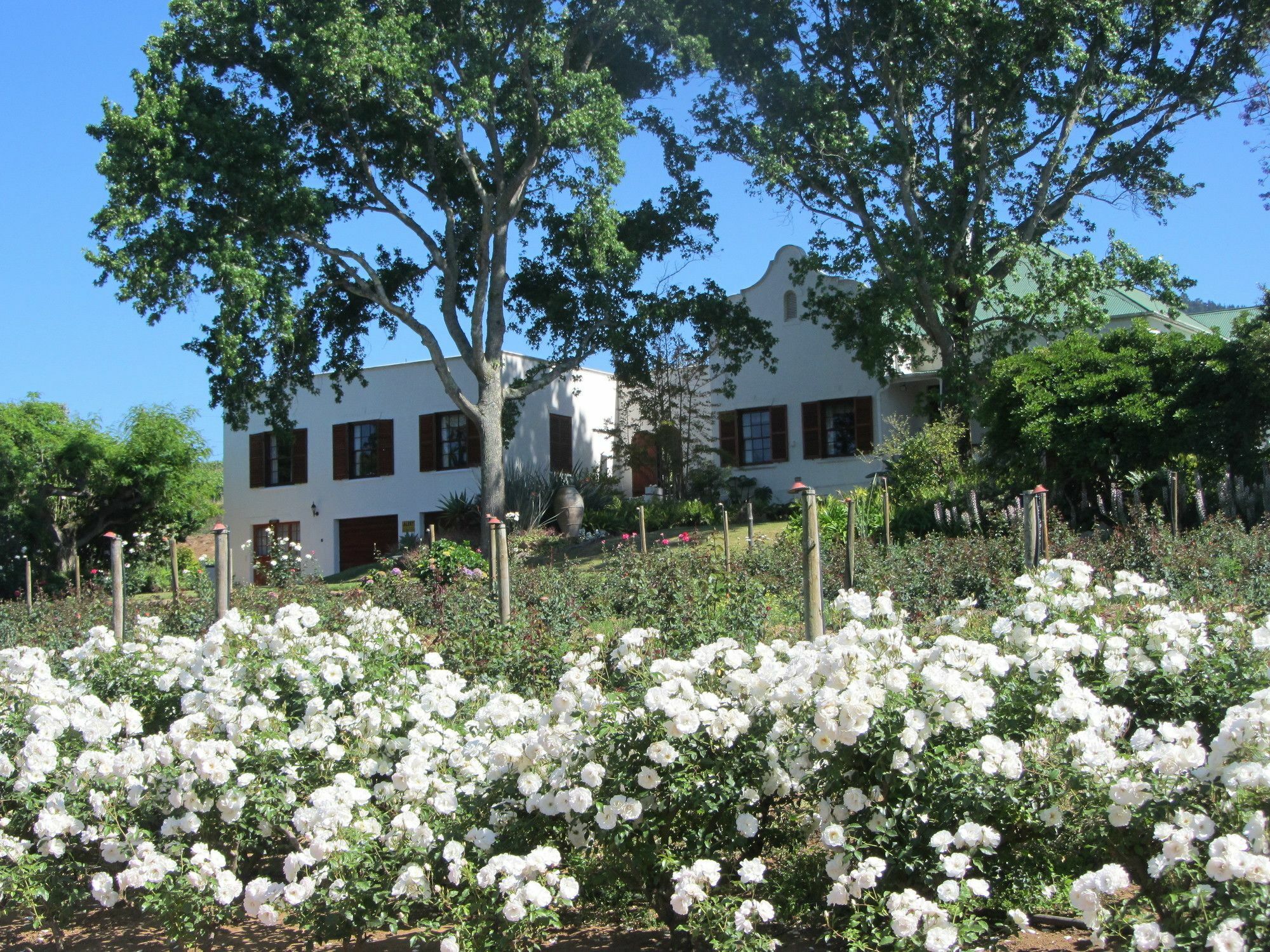 Aan-Den-Weg Villa Stellenbosch Bagian luar foto